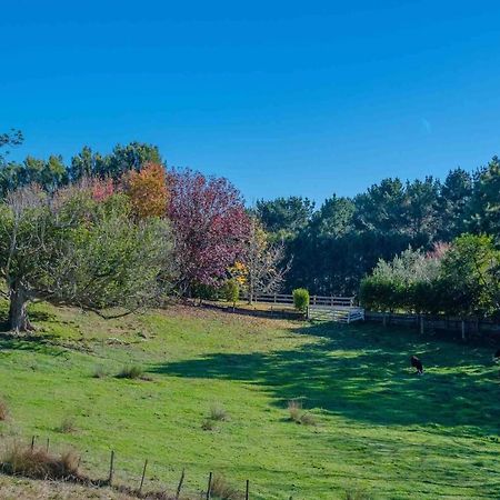 Cosy Lifestyle Cottage Perfect Getaway Pukekohe Exteriér fotografie