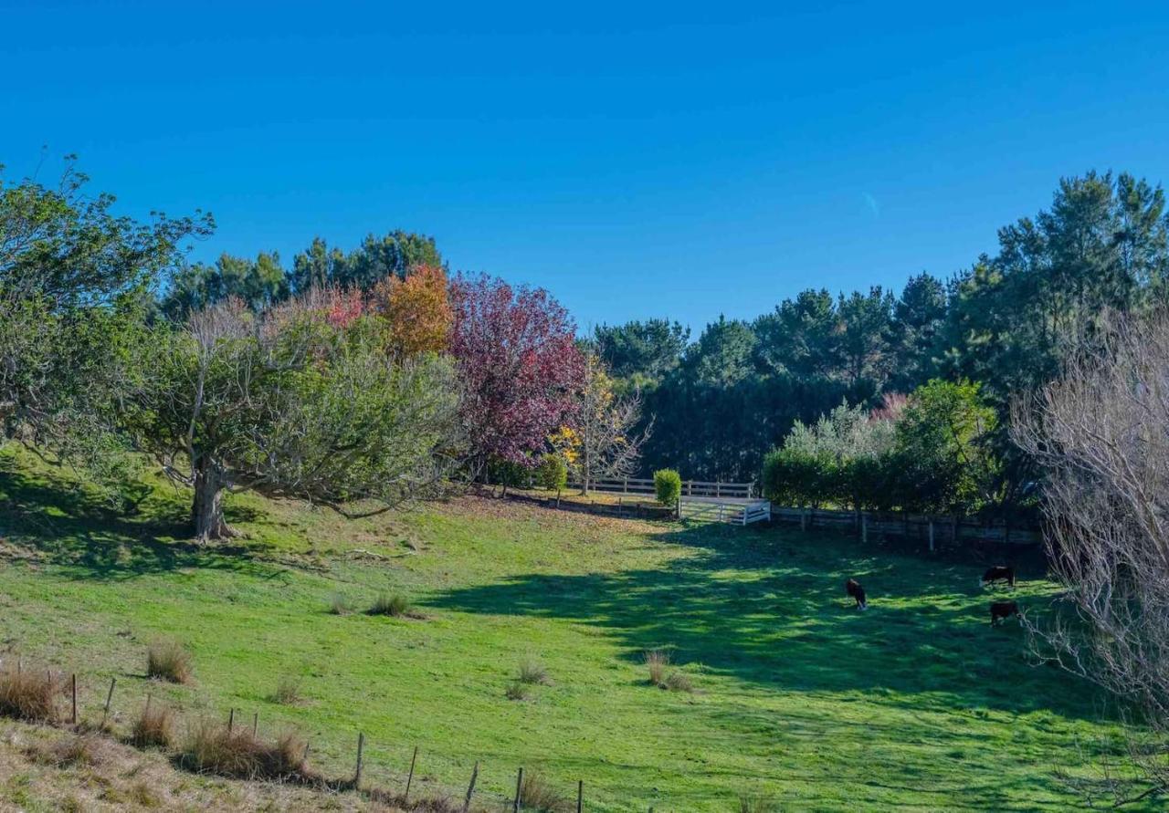 Cosy Lifestyle Cottage Perfect Getaway Pukekohe Exteriér fotografie